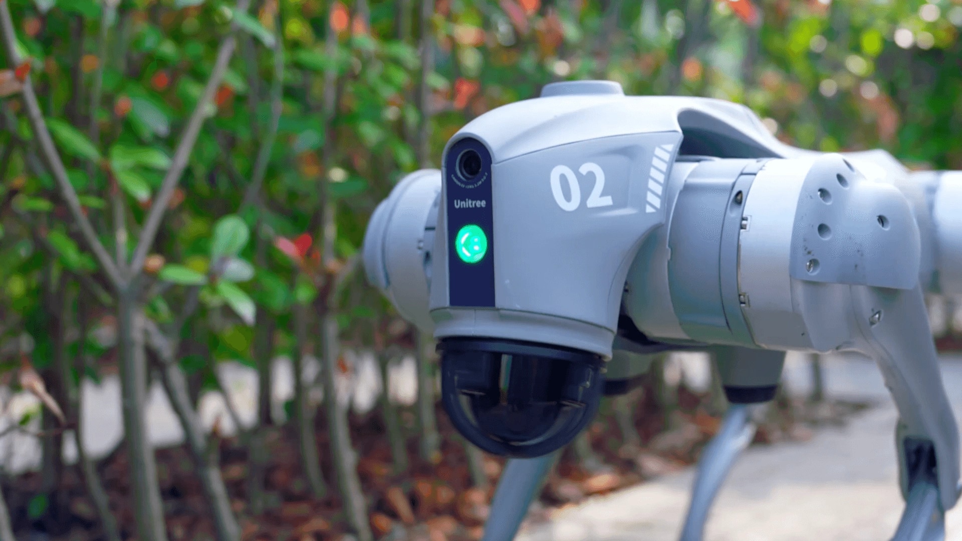 Robot Go2 od blizu med grmičevjem