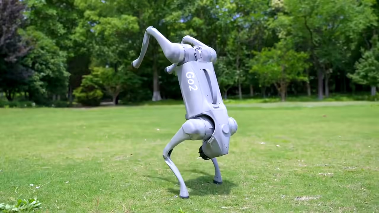 Robot Go2 naredi salto nazaj na travniku